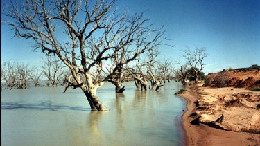 The future of the Menindee Lakes and the lower Darling River is at risk, farmers say.