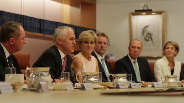Political class: 42 per cent of Malcolm Turnbull's cabinet ministers have been employed as political staffers and party officials.