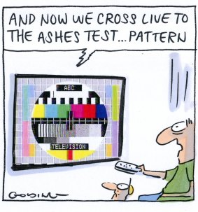 Cartoon: Matt Golding 