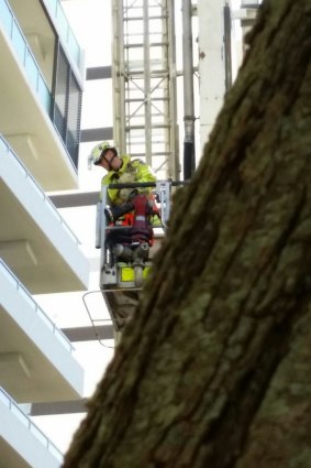 Fire fighter Nick Ryan was sent up in a cherry picker to rescue the cat.