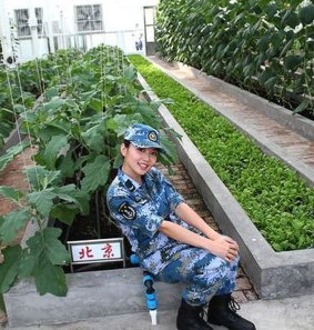 A propaganda image from the Chinese website sina.com shows a Chinese soldier in a greenhouse on Fiery Cross Reef.
