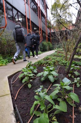Students wander through the William Angliss garden.