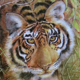 Barbara Torkington, Tiger - Plate, 2015