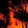 The Black Saturday bushfires followed a period of drought and extreme heat.