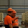 Austral Bricks in Plant No 1 NSW at Horsley Park, Sydney.