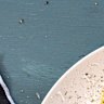 CacioÂ e pepe gnocchi withÂ cacio e pepe crisps recipe. Cook the Good Food Guide trends recipes for Good Food Guide 2020 special edition of Good Food, Tuesday October 1, 2019. Images and recipes by Katrina Meynink.