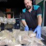 Third-largest ecstasy batch in Australian history seized by Queensland police