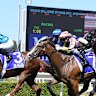 Debutants set to dazzle in Wyong season finale