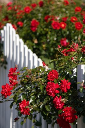 Flower gardens in bloom can increase property values.