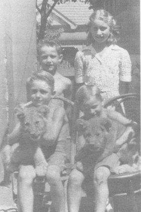 Rare pets: The Suter children with two of their father's lion cubs.