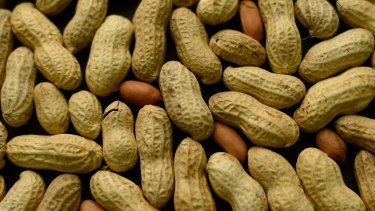 Peanuts are one of the most common food allergens.