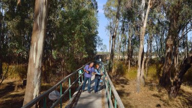 Visitors enjoy the Murray Valley National Park.
