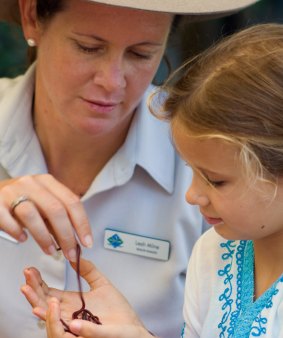 Kids can learn about the natural world with the Junior Eco Rangers program at Kingfisher Bay Resort.