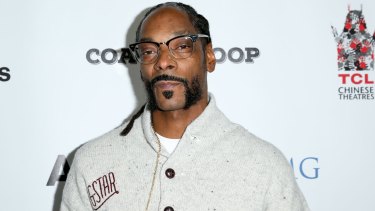 The Snoop Dogg concert was cancelled after a railing collapse left dozens injured. 
