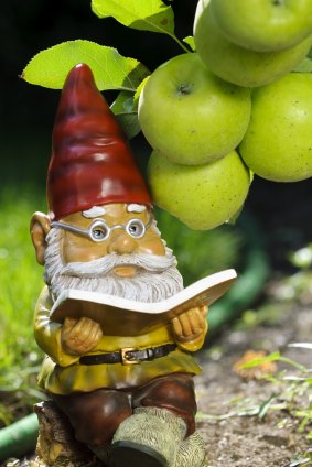 Saucy: Gnomes go well with apple trees, a bit like they are waiting for the fruit to ripen.