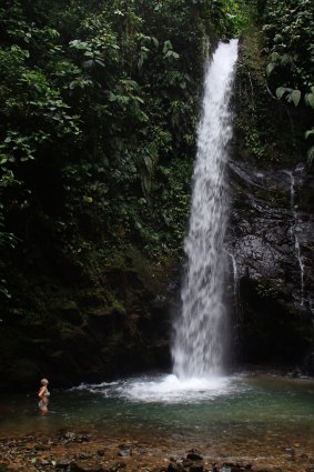 We walk to spectacular waterfalls and then dive in to cool off.