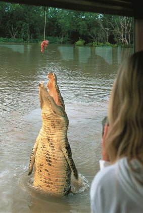 Terrifying: The Jumping Crocodile Cruise.