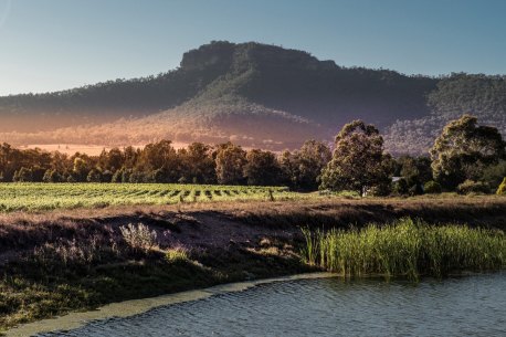 Our oldest wine region is on Sydney’s doorstep