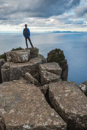 A rocky perch.