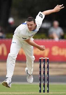 Pace: Josh Hazlewood broke the 140km/h barrier during the latest Sheffield Shield round. 