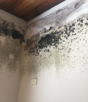 Mould can cause health problems, even if it's not visible.