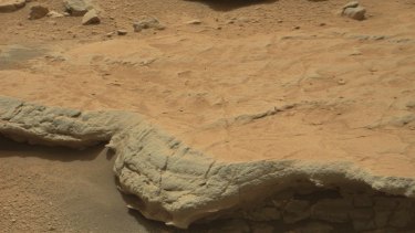 Ancient patterns on this rock outcrop on Mars' Gillespie Lake resemble microbial structures on Earth, a scientist says.