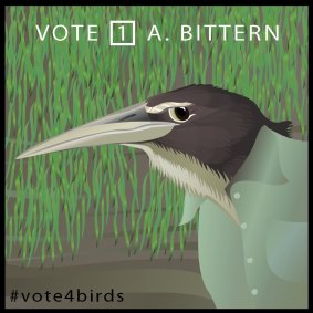 Charismatic federal election candidate A. Bittern.  
