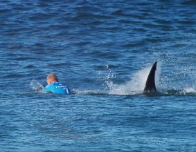 Chilling: Mick Fanning is attacked by a shark during the finals of the J-Bay Open in Jeffrey's Bay, South Africa on July 19.