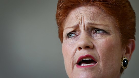 One Nation leader Pauline Hanson  