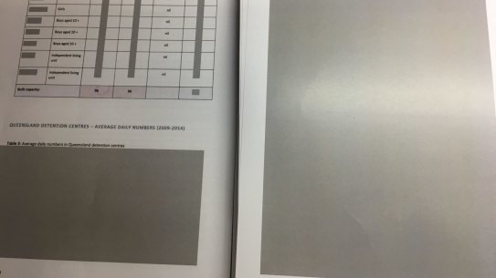 Large parts of the report, including names, numbers of beds and photographs, were redacted.