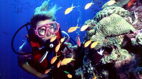 The Great Barrier Reef has avoided being listed by the UN as "in danger".