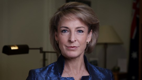 Employment Minister Michaelia Cash failed to declare a mortgage on a $1.4 million investment property.