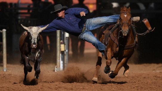 MOUNT ISA, AUSTRALIA - AUGUST 13: A competitor shows his skills in the steer wrestling event at the Mount Isa Mines Rodeo on August 13, 2021 in Mount Isa, Australia. Established in 1959, the Mount Isa Rodeo is the richest in the southern hemisphere and attracts contestants from all parts of the world. (Photo by Dan Peled/Getty Images)