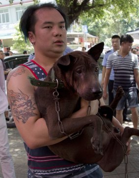 An activist carries a dog at a dog meat festival in Yulin in south China's Guangxi Zhuang Autonomous Region.