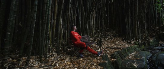 Photographs show the alcohol and drug rehabilitation facilities of WHO ( We who Help Ourselves ) within the confines of Callan Park in Roselle today. Executive Director, Garth Popple ( pictured in blue shirt on red bridge ) walked the Herald through the extensive gardens pointing out gardens and accomodations for differing stages of addiction and areas patients can utilise for their therapy and healing including serene bamboo forests and specific areas for indigenous smoking ceremonies and healing. Patients can be seen and unidentifiable sweeping paths and taking leaves. Other images show convict era, sandstone pavements, bridges and watercourses. Photographs taken Wednesday 5th January 2022. Photographs by Dean Sewell.