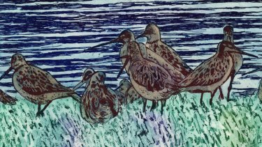 Sue Poggioli,  <i>Conversation of the Birds</I>, 2017, etching, sugarlift aquatint, a la poupee, watercolour (detail).