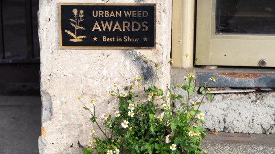 Miguel Marquez OutsidePublic Projects - Michael PedersonÂ 
Best in show
Artist using public places for surprising art. He is doing work for The Other Art Fair, which opens Thursday. Story by Nick Galvin.