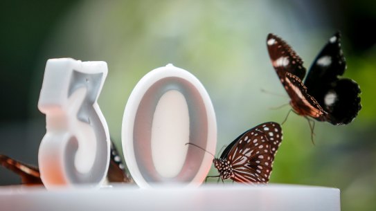 Even social butterflies can set a few financial goals for their 30th birthday.