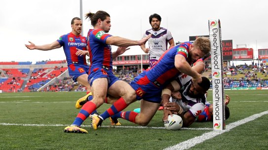 Title shot: Melbourne will play in this year's grand final, according to Newcastle coach Nathan Brown.