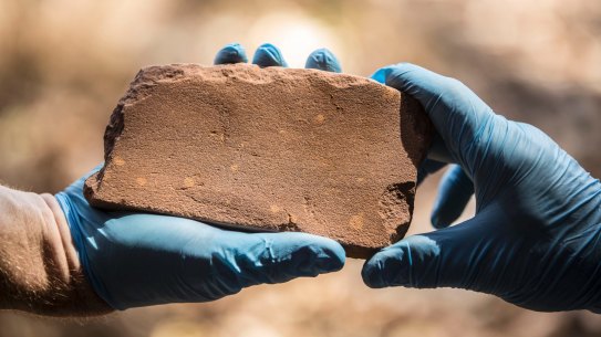 The discovery of this axe sharpening stone inside the Kakadu National Park has rewritten the history of Australia. 