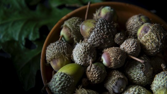 From little things, big things grow.