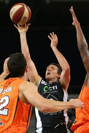 Not happy: Melbourne United's Daryl Corletto.