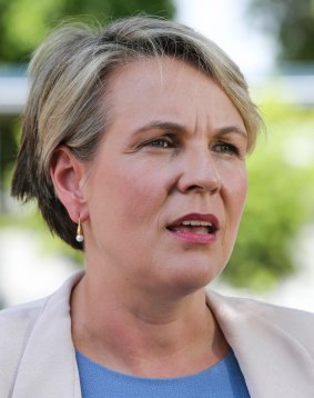 Deputy Leader of the Opposition Tanya Plibersek