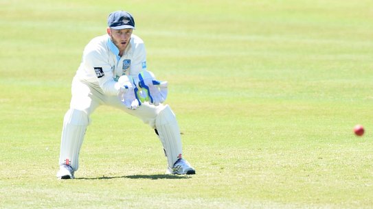 Snubbed: Peter Nevill had been tipped for a return to the Test team.