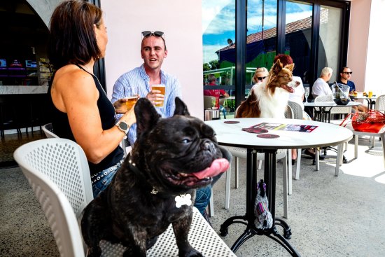 Dog-friendly pub Illinois Hotel at Five Dock, Sydney.