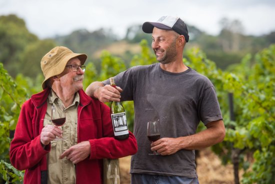 Stephen Morris and his son Stephen at Pennyweight Winery. 