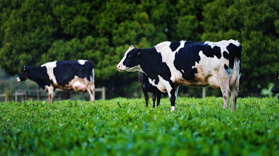 Murray Goulburn has announced it has reached a deal to sell the business to Saputo.