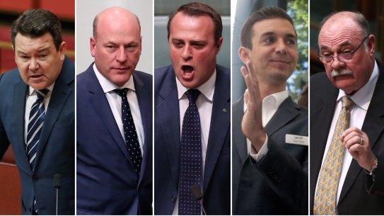 Coalition MPs Dean Smith, Trent Zimmerman, Tim Wilson, Trevor Evans and Warren Entsch.
