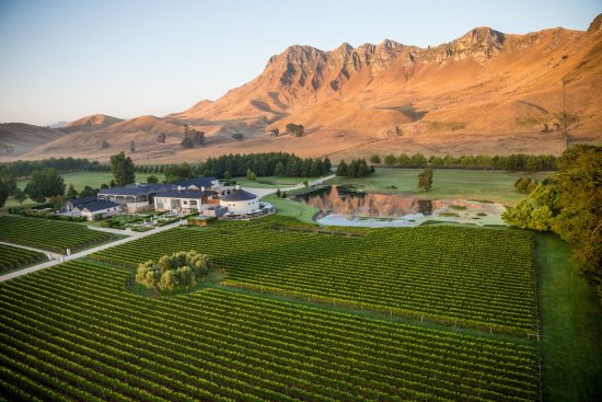 Craggy Range and Te Mata Peak, Hawke's Bay.