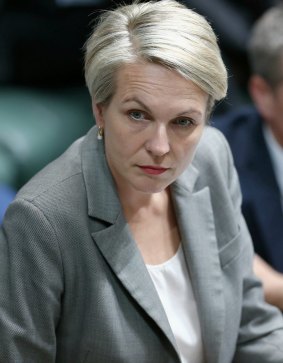 Labor education spokeswoman Tanya Plibersek advocated for the shared equity model in 2007. 